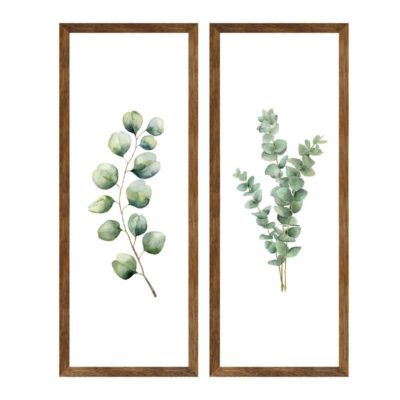 Set 2 Cuadros / Láminas enmarcadas Hojas y Plantas 2