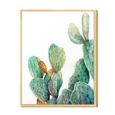 Lámina cactus