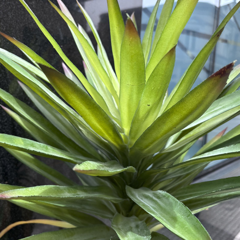 Planta artificial Yucca 165cm