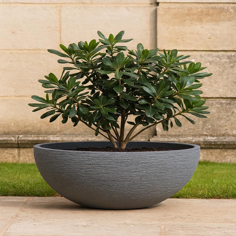 Maceta redonda Rover