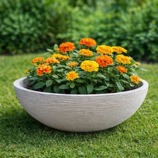 Maceta redonda Rover